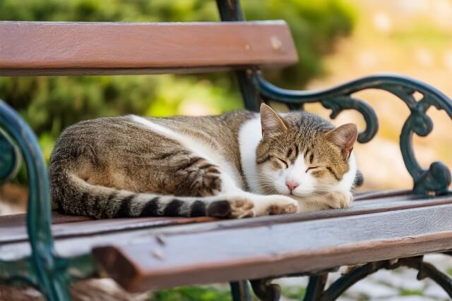 良質な睡眠をとる